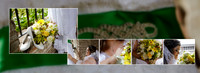 MichelleJason 002 (Sides 3-4)