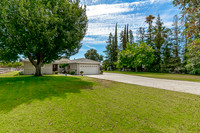 4806Hammet04