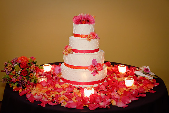 Haley & Chris447