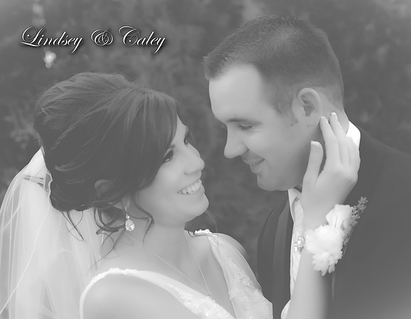 cover2