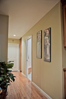 929Dewitt-12