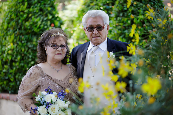 Our50th-250