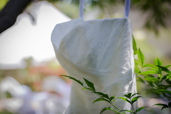 Chantelle&MikeWed-002
