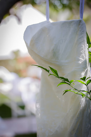 Chantelle&MikeWed-003