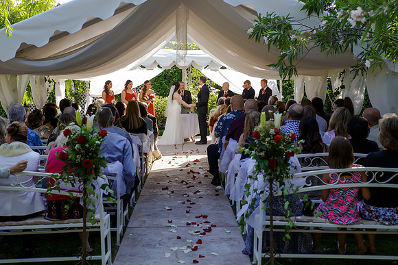 Chantelle&MikeWed-169