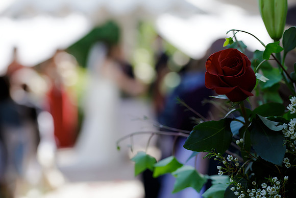 Chantelle&MikeWed-170
