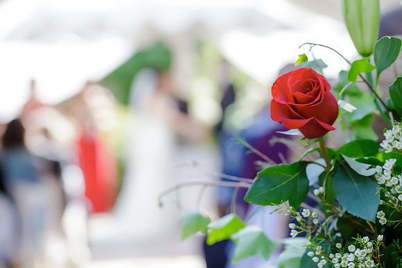Chantelle&MikeWed-171