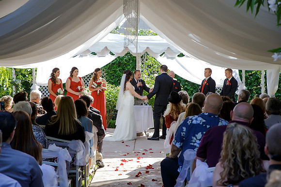 Chantelle&MikeWed-174