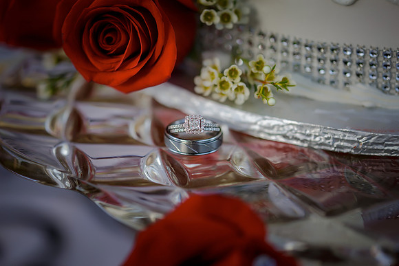 Chantelle&MikeWed-287