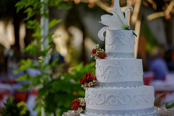 Chantelle&MikeWed-289