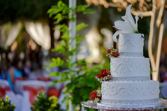 Chantelle&MikeWed-290