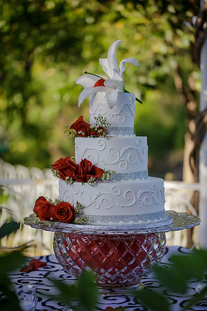 Chantelle&MikeWed-291