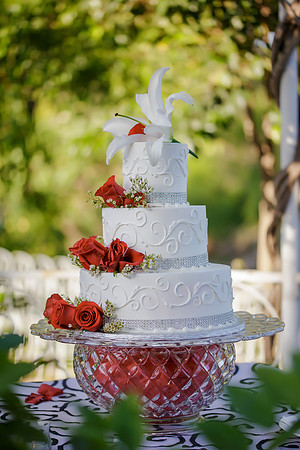 Chantelle&MikeWed-292