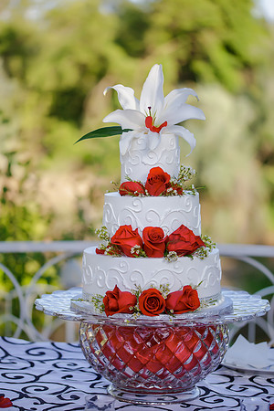 Chantelle&MikeWed-293