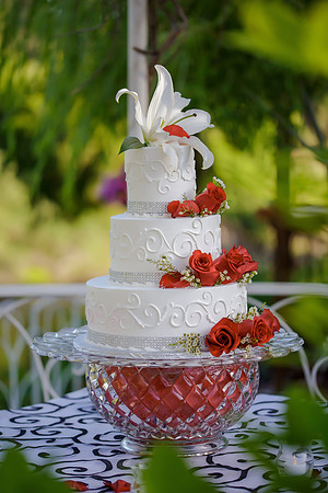 Chantelle&MikeWed-294