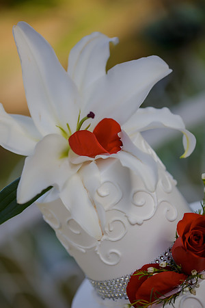 Chantelle&MikeWed-296