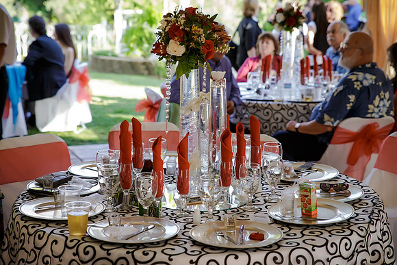 Chantelle&MikeWed-298