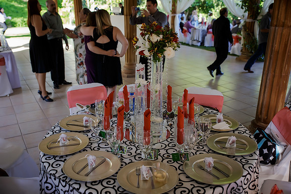 Chantelle&MikeWed-299