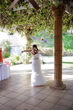 Chantelle&MikeWed-321