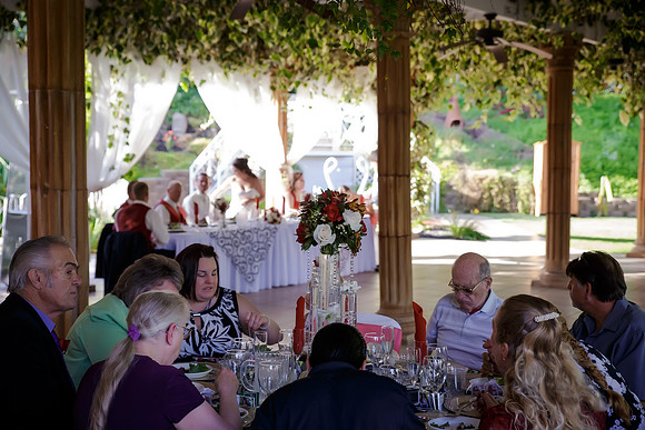 Chantelle&MikeWed-337