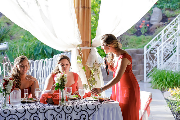 Chantelle&MikeWed-355