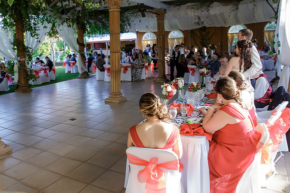Chantelle&MikeWed-378