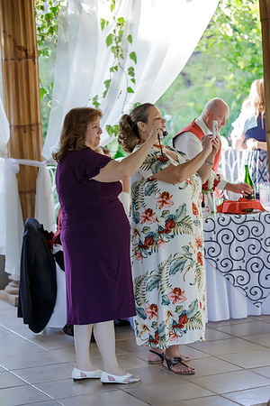 Chantelle&MikeWed-427