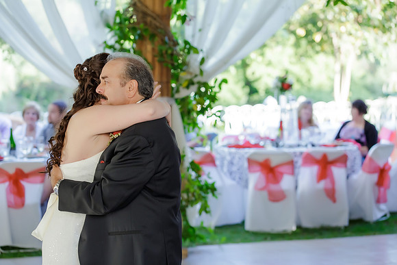 Chantelle&MikeWed-431