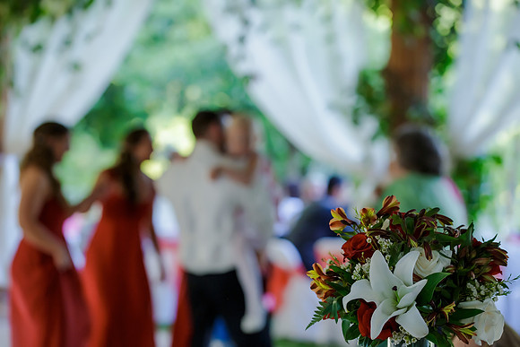 Chantelle&MikeWed-454
