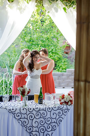 Chantelle&MikeWed-456