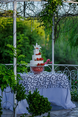 Chantelle&MikeWed-491