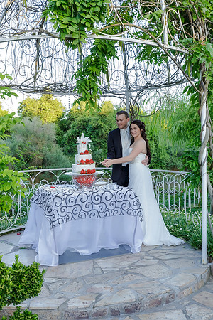 Chantelle&MikeWed-495