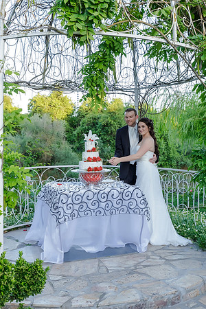 Chantelle&MikeWed-496