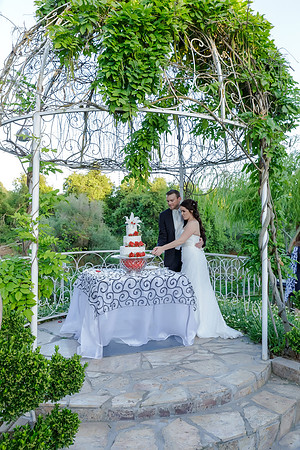 Chantelle&MikeWed-497