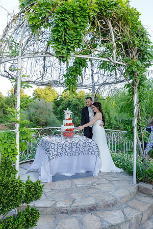 Chantelle&MikeWed-498