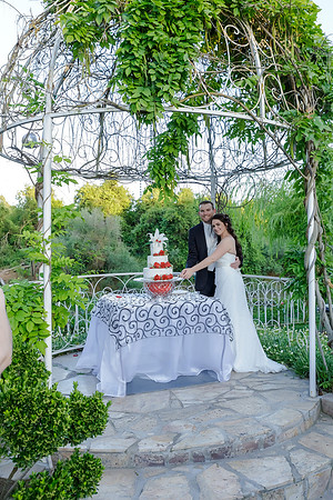 Chantelle&MikeWed-499