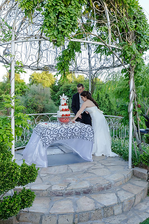 Chantelle&MikeWed-501