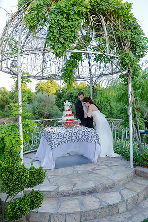 Chantelle&MikeWed-502