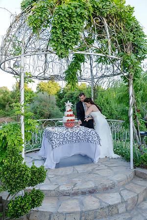 Chantelle&MikeWed-503