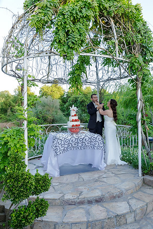 Chantelle&MikeWed-504