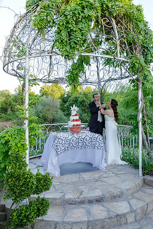 Chantelle&MikeWed-505
