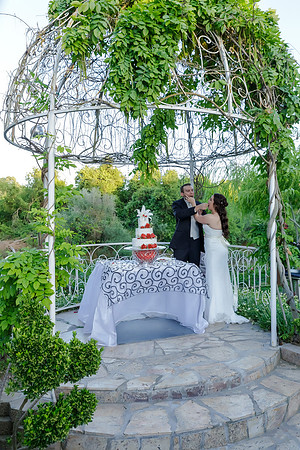 Chantelle&MikeWed-506