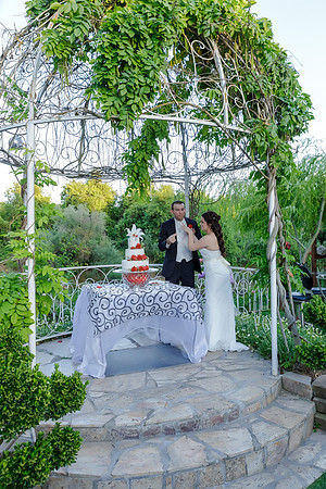 Chantelle&MikeWed-507