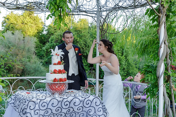 Chantelle&MikeWed-508