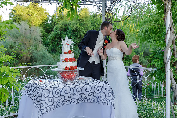 Chantelle&MikeWed-509