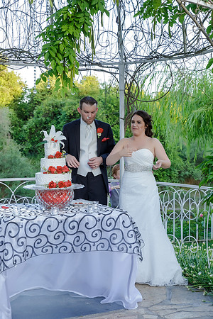 Chantelle&MikeWed-510
