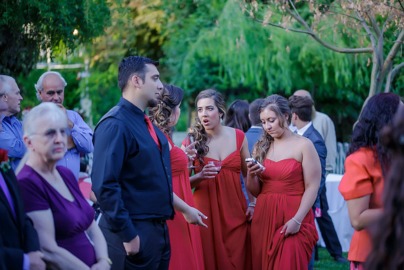 Chantelle&MikeWed-518