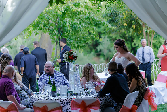 Chantelle&MikeWed-532