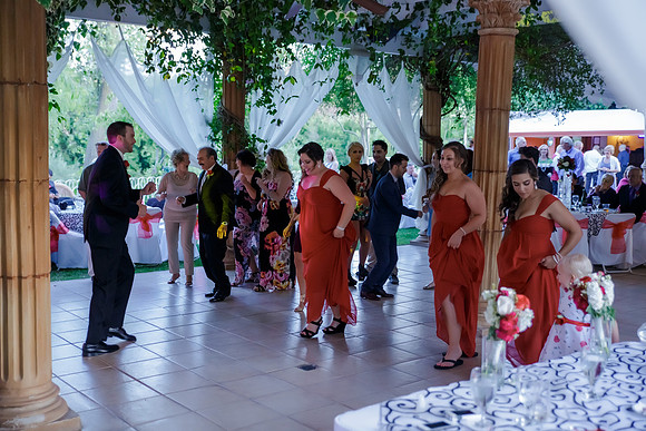 Chantelle&MikeWed-542