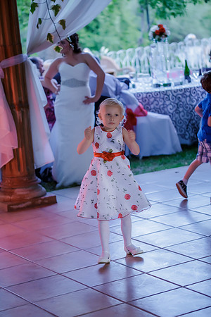 Chantelle&MikeWed-543